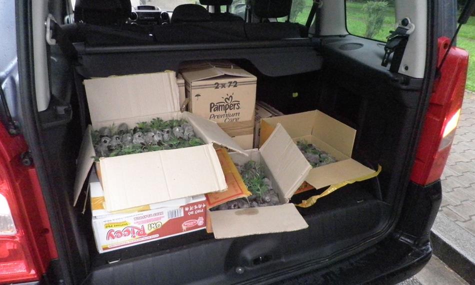 2011-7-28-133Snímek 001.jpg